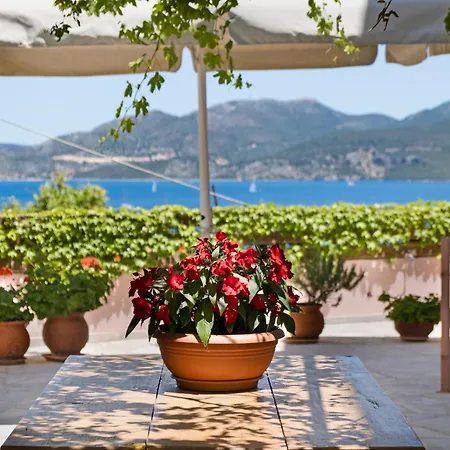 Tasoula One Bedroom Sea View